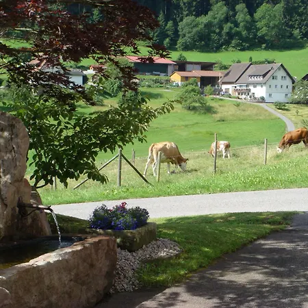 Schwarzwald Idylle By Interhome * באיירסברון